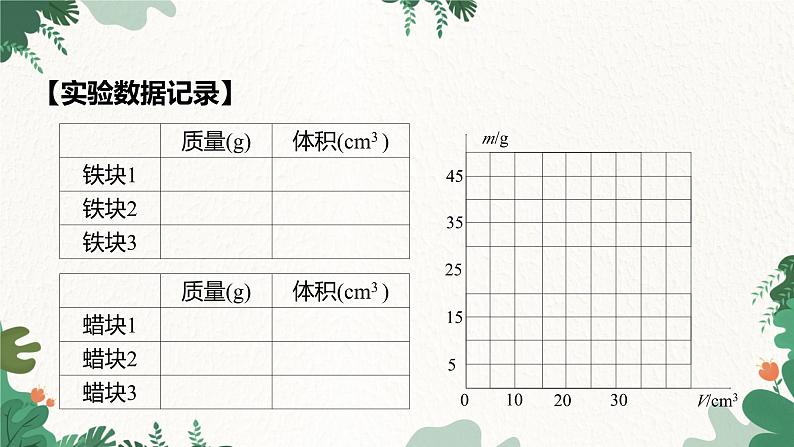 人教版物理八年级上册 第六章第二节第一课时 密度课件第6页