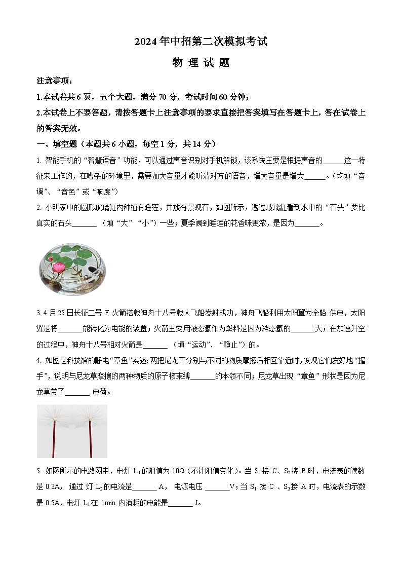 2024年河南省开封市中考二模物理试题（原卷版）第1页