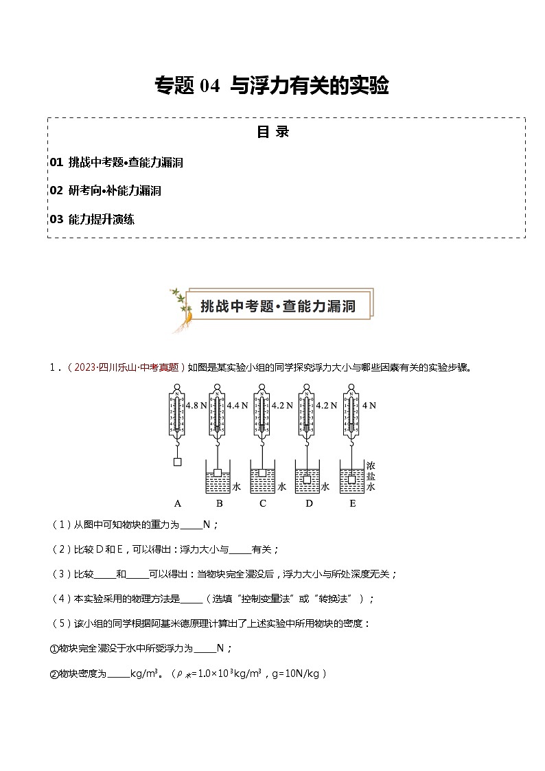 2024年中考物理复习冲刺过关专题04 与浮力有关的实验（查补能力·提升练）01