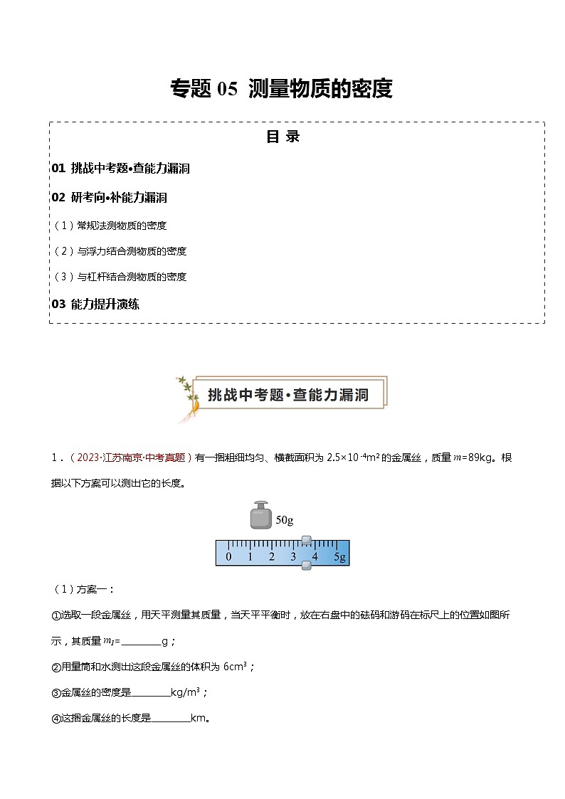 2024年中考物理复习冲刺过关专题05 测量物质的密度（查补能力·提升练）01