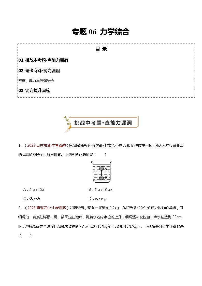 2024年中考物理复习冲刺过关专题06 力学综合（查补能力·提升练）01