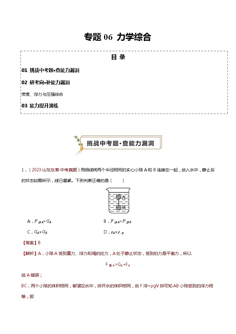 2024年中考物理复习冲刺过关专题06 力学综合（查补能力·提升练）01