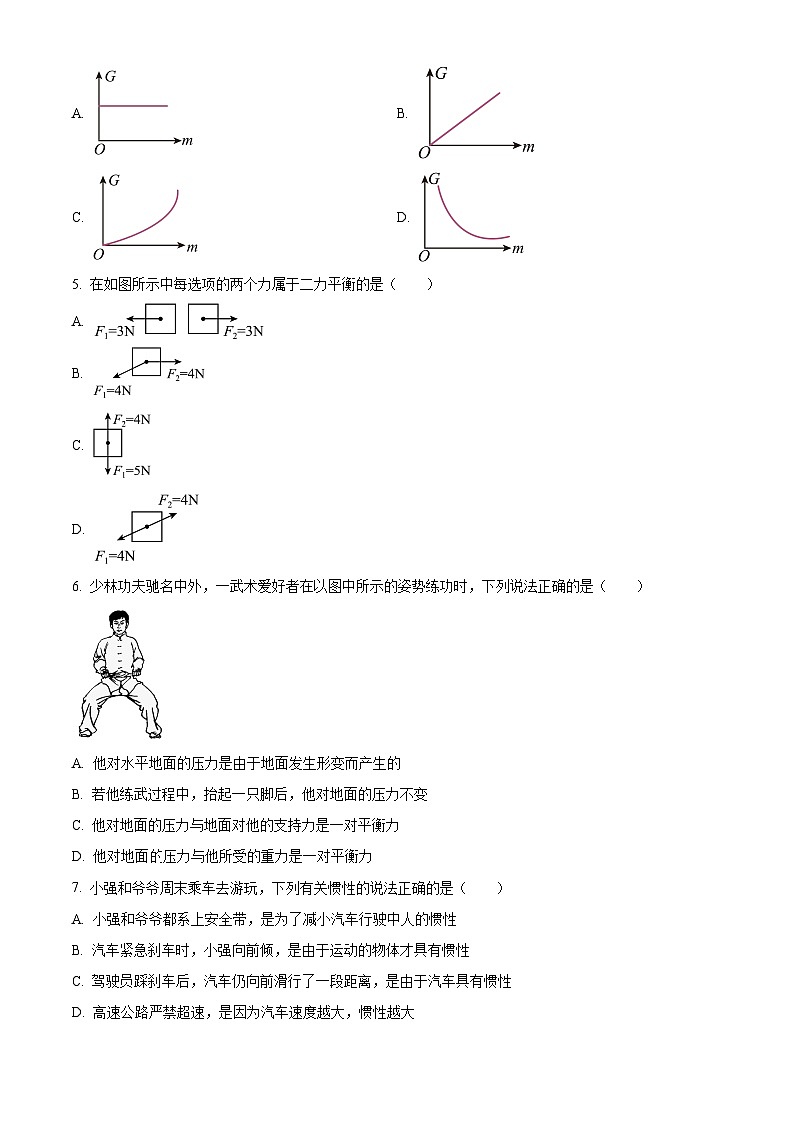 湖南省长沙市雅礼教育集团2023-2024学年八年级下学期期中物理试题（原卷版+解析版）02
