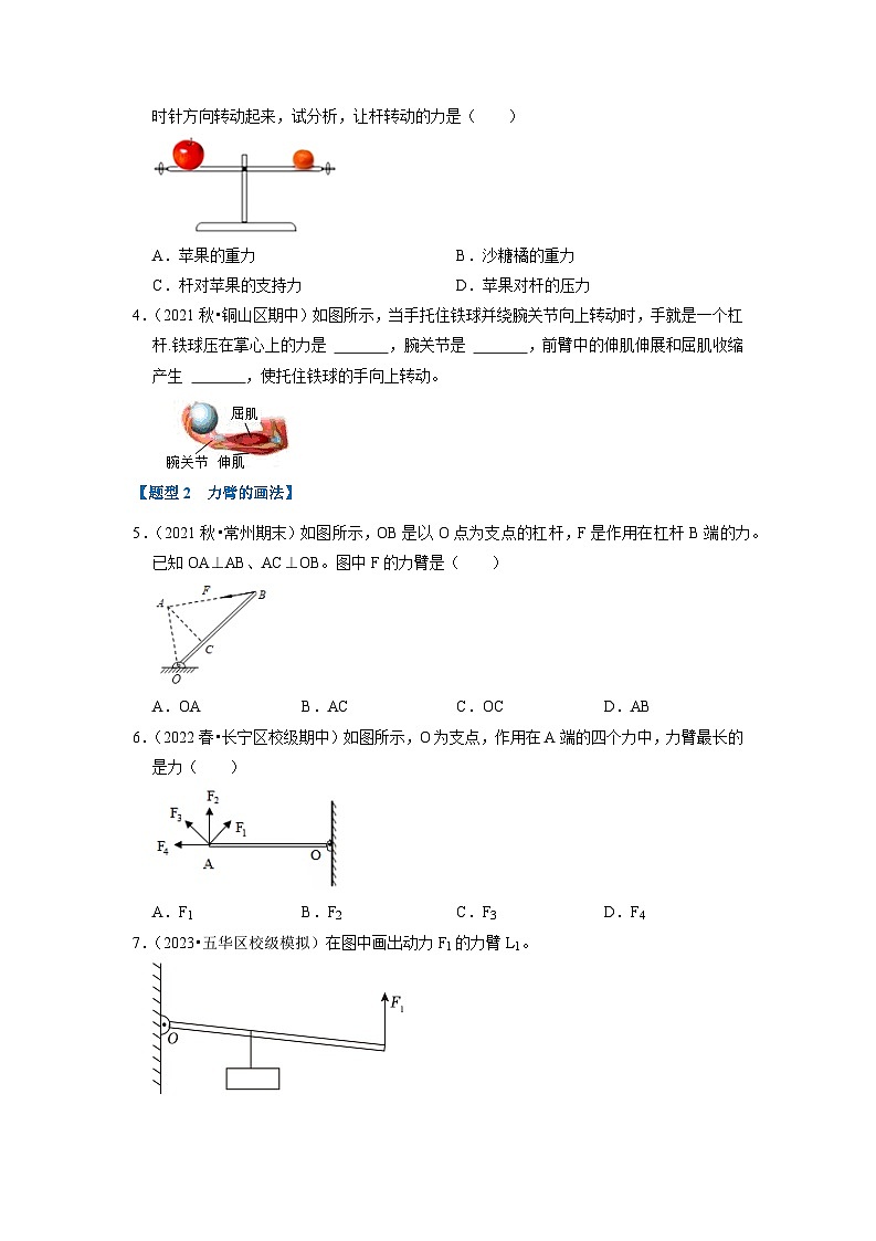 2024年苏科版物理九年级上册11.1 杠杆（专题训练）【八大题型】（原卷版+解析版）02