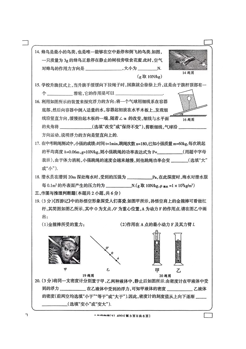 河南省周口市西华县青华中英文学校2023-2024学年八年级下学期5月月考物理试题第3页
