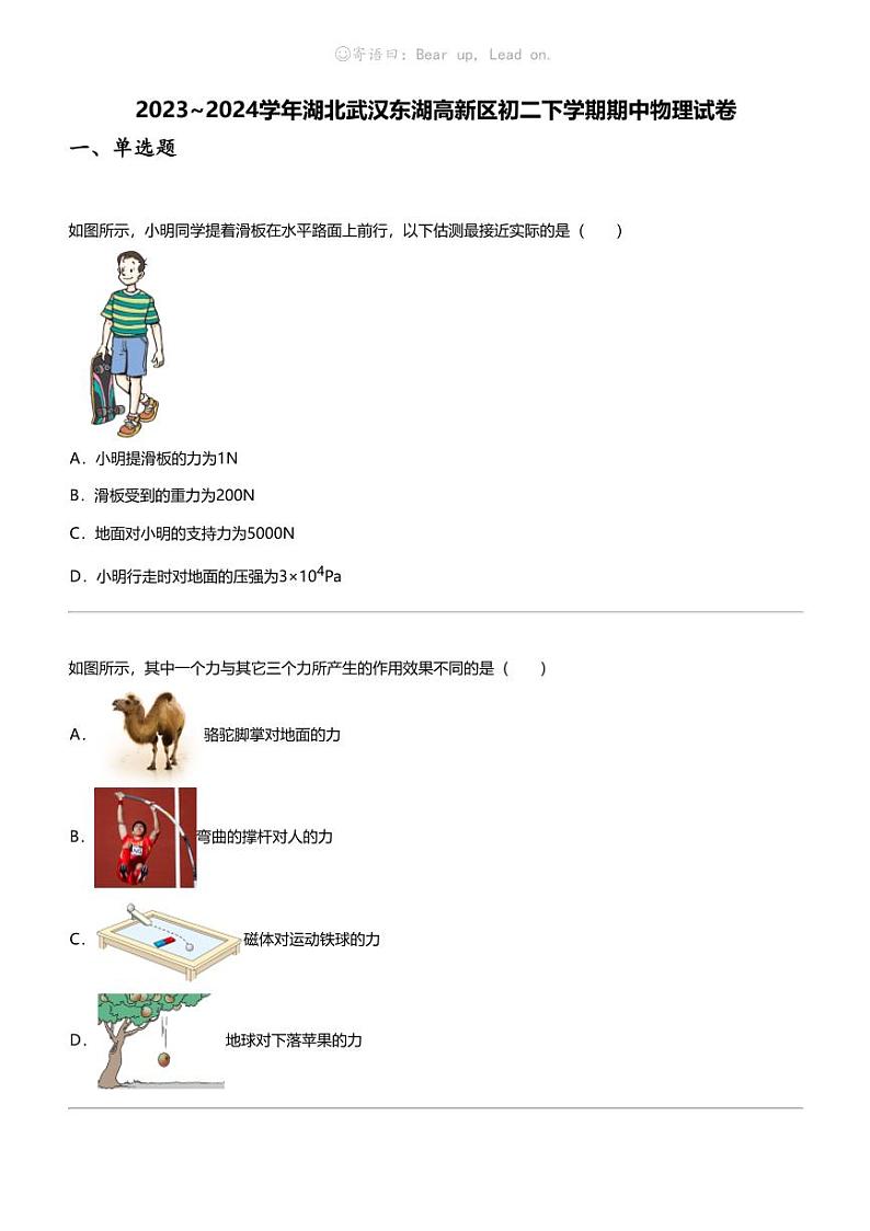2023_2024学年湖北武汉东湖高新区初二下学期期中物理试卷第1页
