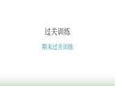 人教版九年级物理期末过关训练课件