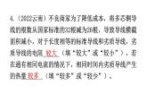 人教版九年级物理命题趋势一跨学科实践试题期末练习课件