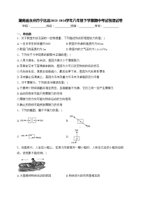 湖南省永州市宁远县2023-2024学年八年级下学期期中考试物理试卷(含答案)