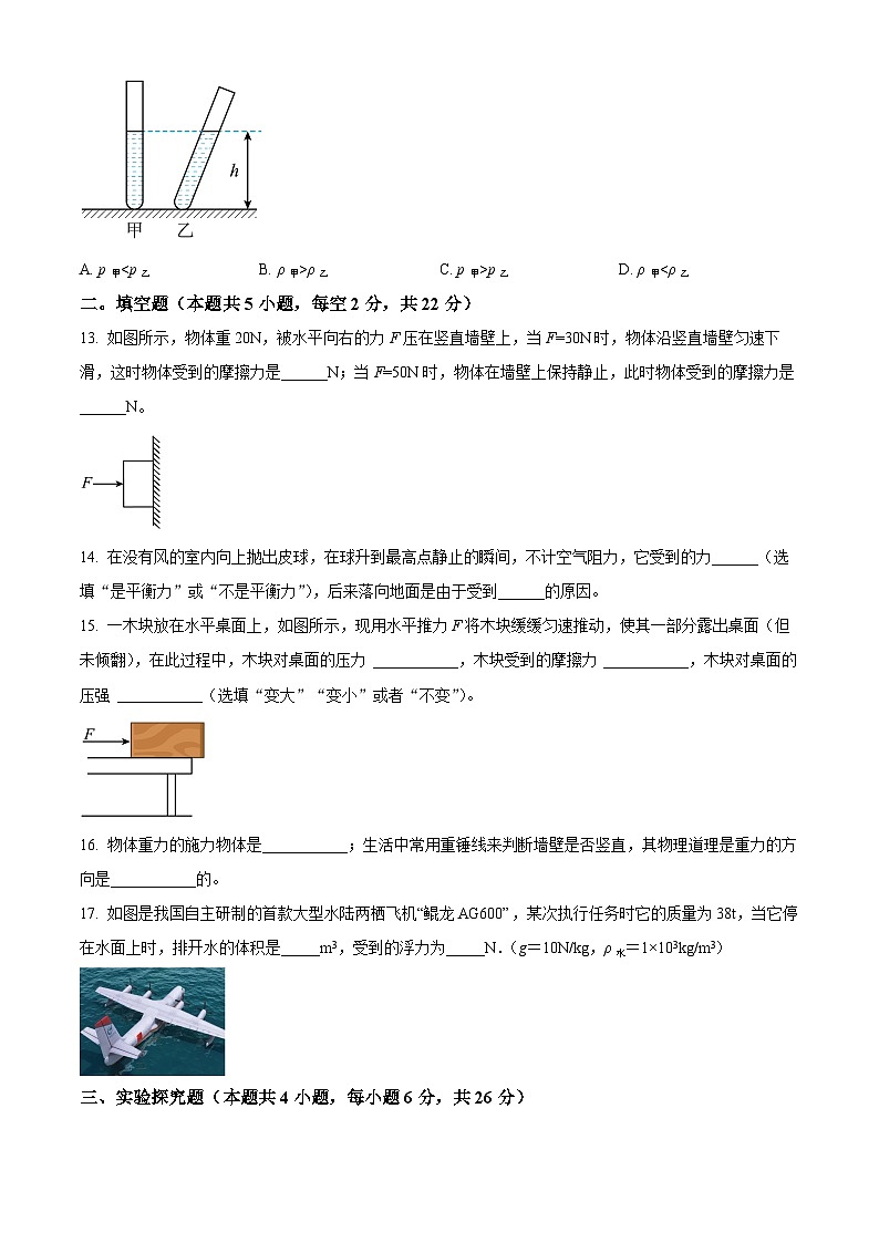 湖南省长沙市宁乡市西部乡镇2023-2024学年八年级下学期期中物理试题（原卷版+解析版）03