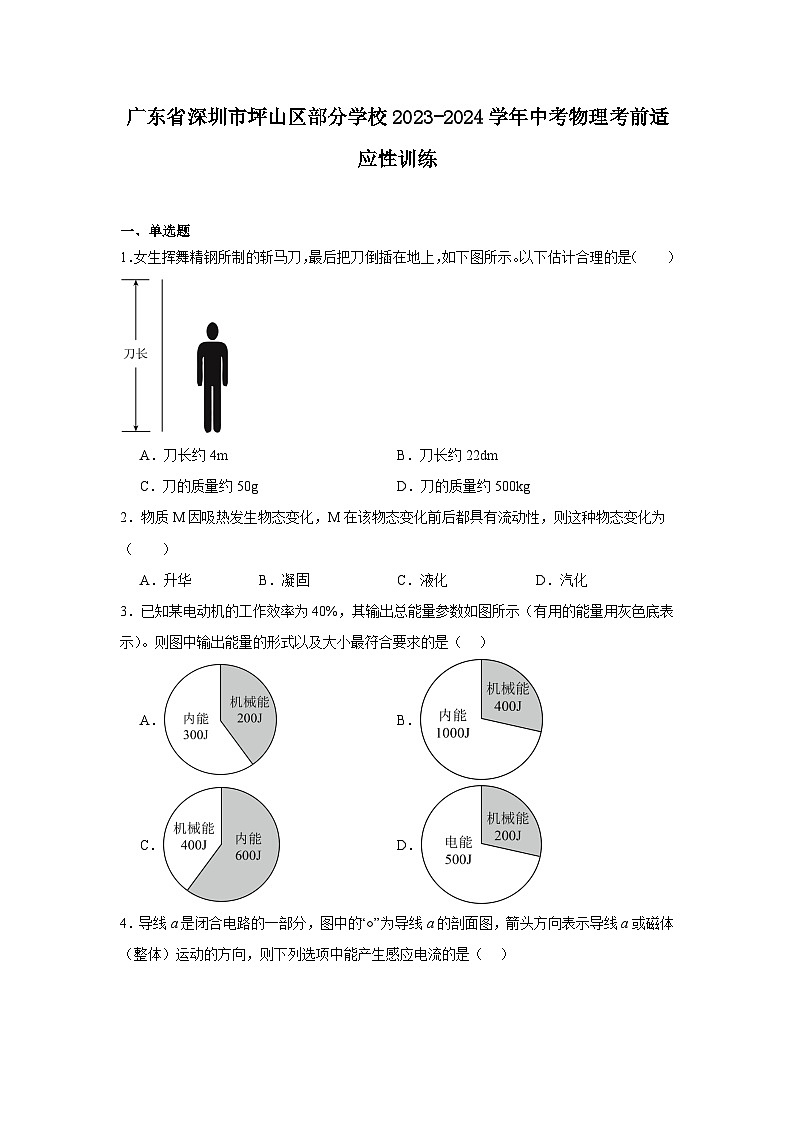 2024年广东省深圳市坪山区部分学校中考物理考前适应性训练第1页