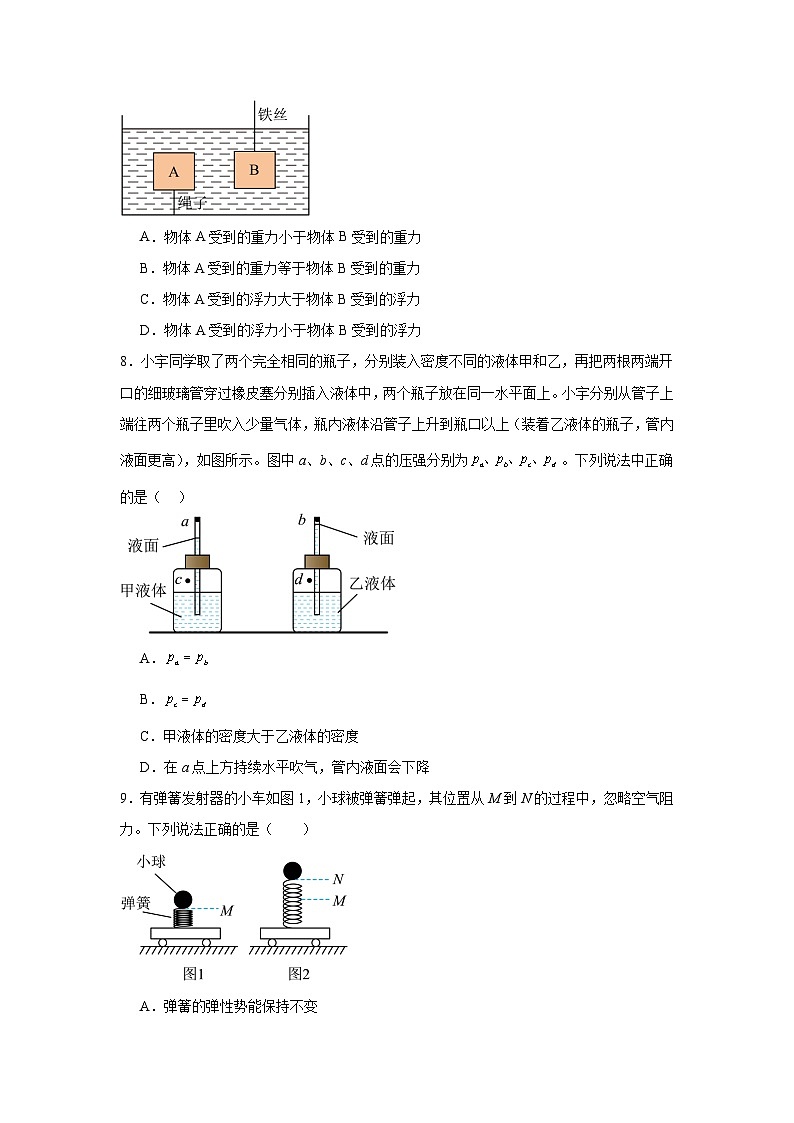 2024年广东省深圳市坪山区部分学校中考物理考前适应性训练第3页