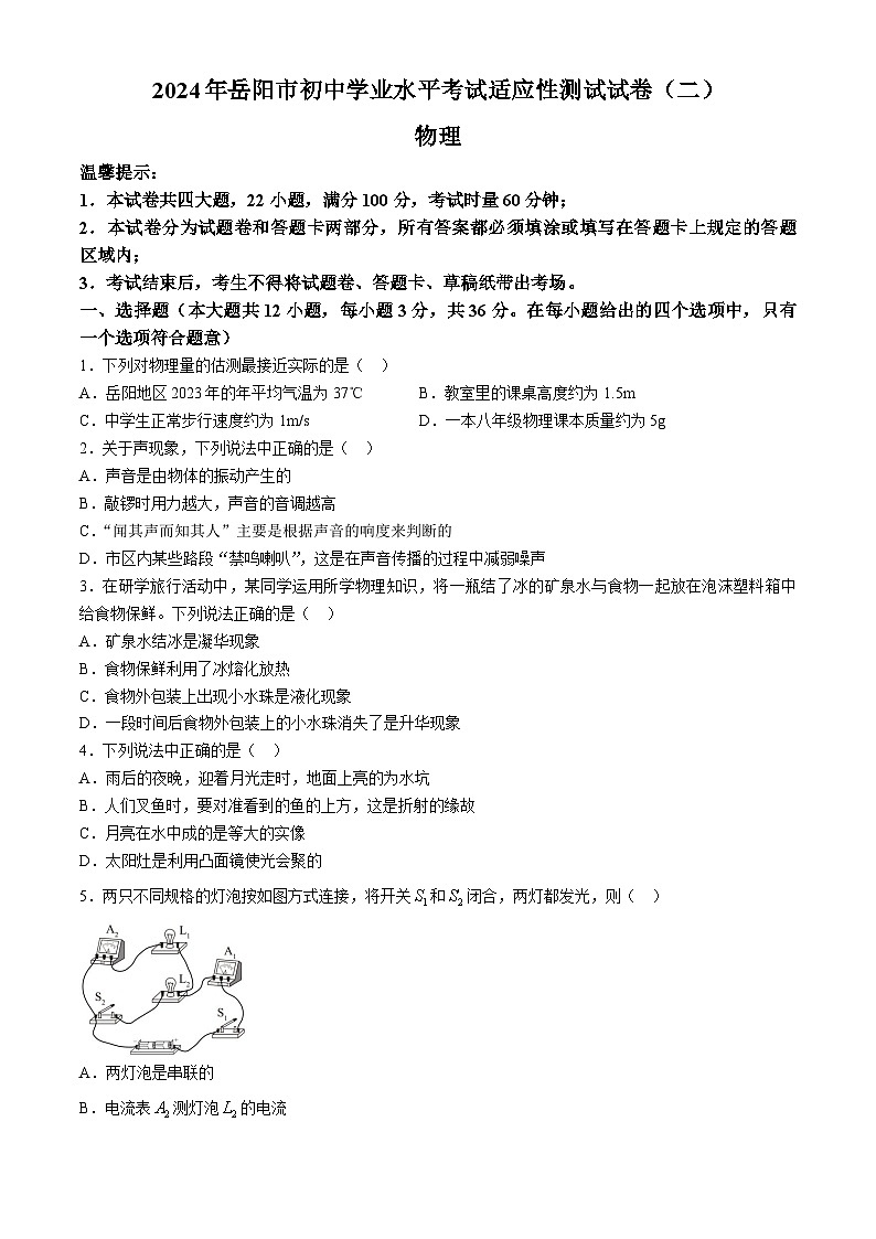 2024年湖南省岳阳市中考物理二模适应性测试试卷01