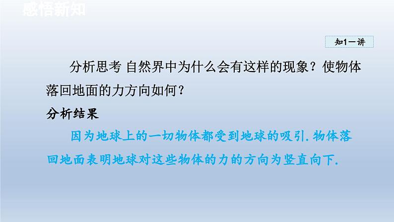 2024八年级物理下册第8章力8.2重力力的示意图课件（苏科版）04