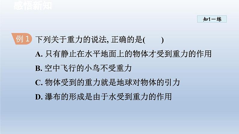 2024八年级物理下册第8章力8.2重力力的示意图课件（苏科版）07