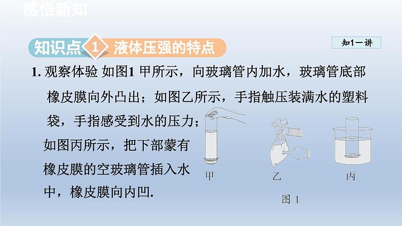 2024八年级物理下册第10章压强和浮力10.2液体的压强课件（苏科版）03