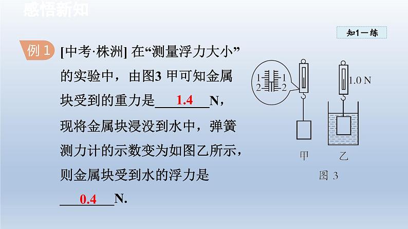 2024八年级物理下册第10章压强和浮力10.4浮力课件（苏科版）08