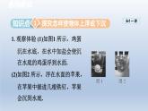 2024八年级物理下册第10章压强和浮力10.5物体的浮与沉课件（苏科版）
