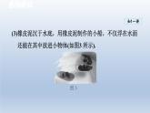 2024八年级物理下册第10章压强和浮力10.5物体的浮与沉课件（苏科版）