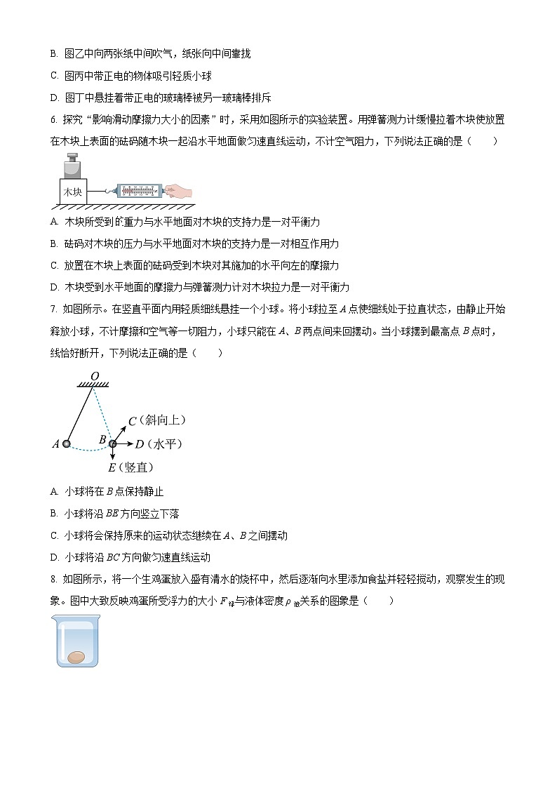 江苏省苏州市昆山市葛江中学 2023-2024学年八年级下学期第二次形成性评价（5月）物理试题（学生版）第2页