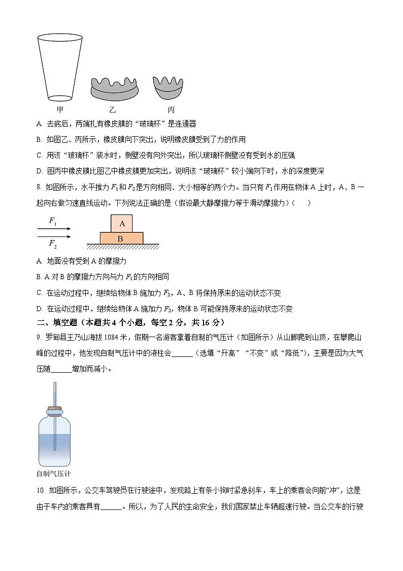 贵州省罗甸县2023-2024学年八年级下学期期中质量监测物理试题（学生版）第3页