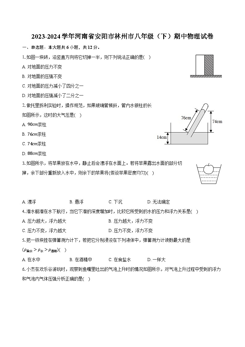 2023-2024学年河南省安阳市林州市八年级（下）期中物理试卷（含解析）第1页