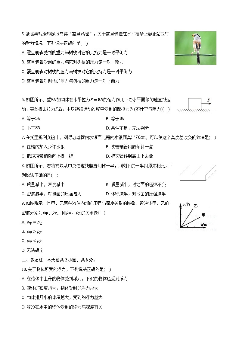 2023-2024学年四川省南充市阆中中学八年级（下）期中物理试卷（含解析）第2页