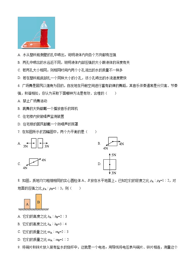 2024年天津市南开区中考三模物理试题（学生版）第2页