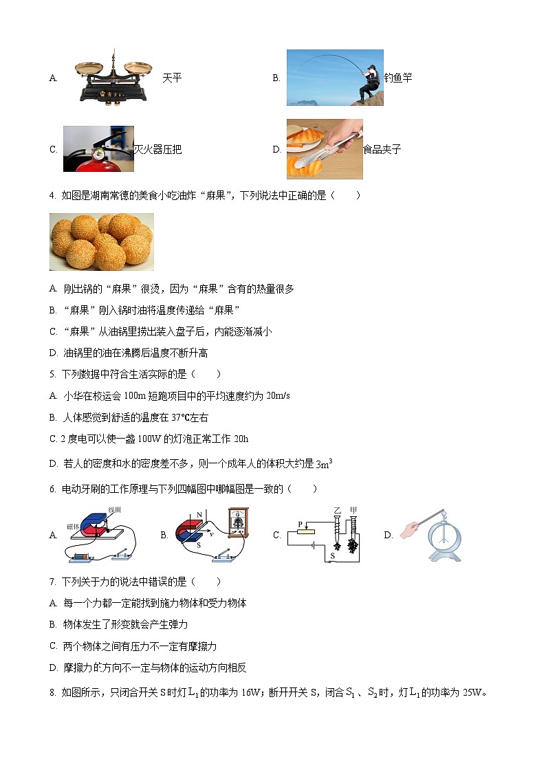 2024年湖南省部分学校中考二模物理试题（学生版）第2页