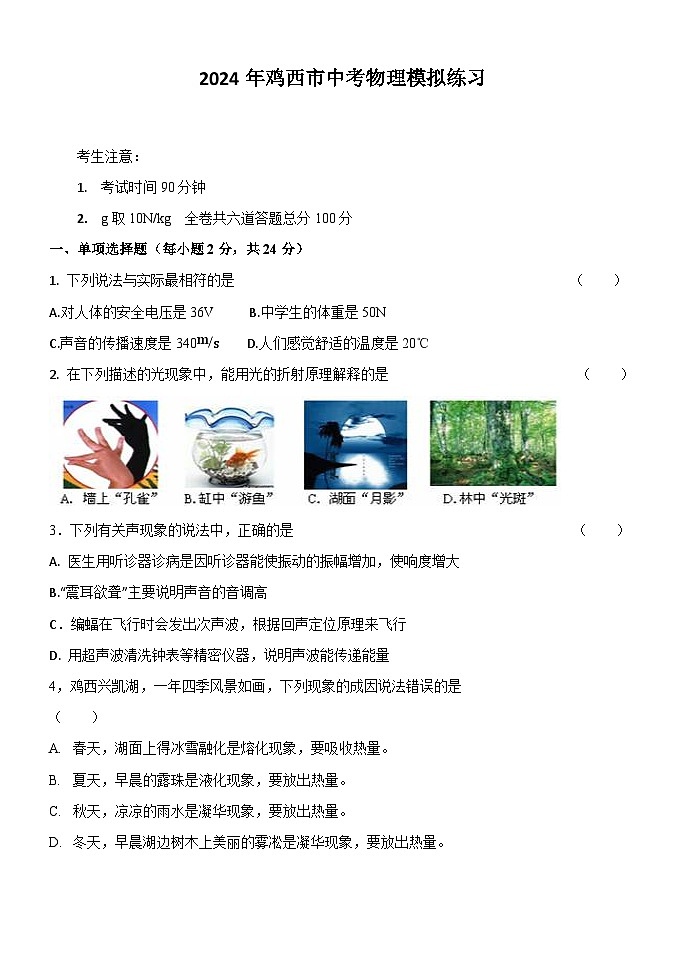 2024年黑龙江省鸡西市中考物理模拟试题第1页