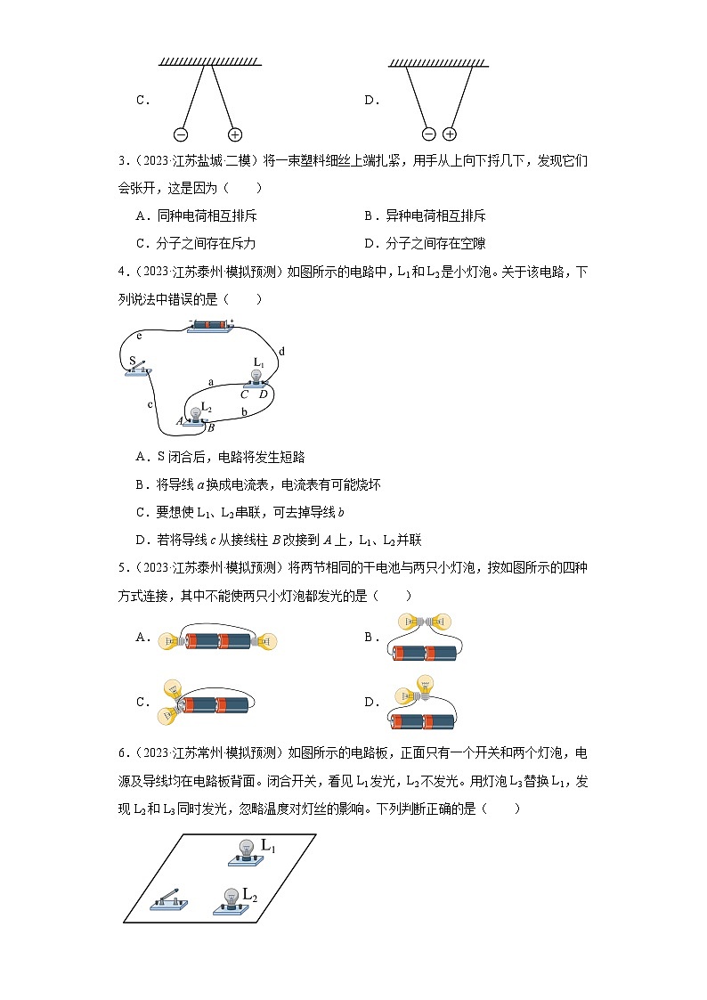 专题13 电流和电路-2024年中考物理【热点·重点·难点】专练（江苏专用）（原卷版）第2页