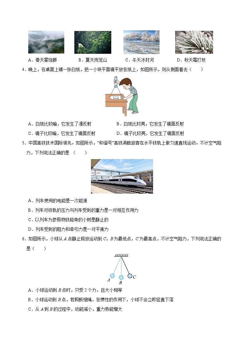 2024年中考押题预测卷（湖南省卷）-物理（考试版）A4第2页