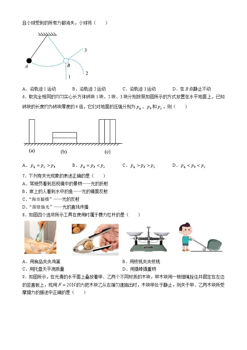 2024年福建省泉州市泉港区中考三模物理试题第2页