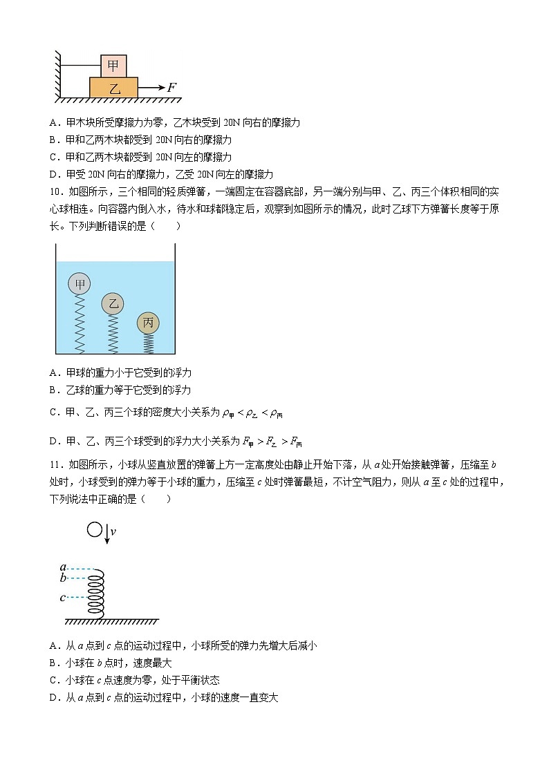 2024年福建省泉州市泉港区中考三模物理试题第3页