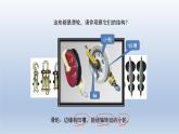 2024八年级物理下册第六章力和机械6.6探究滑轮的作用上课课件（粤教沪版）