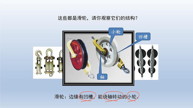 2024八年级物理下册第六章力和机械6.6探究滑轮的作用上课课件（粤教沪版）02