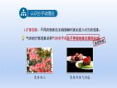 2024八年级物理下册第十章从粒子到宇宙10.2分子动理论的初步知识上课课件（粤教沪版）