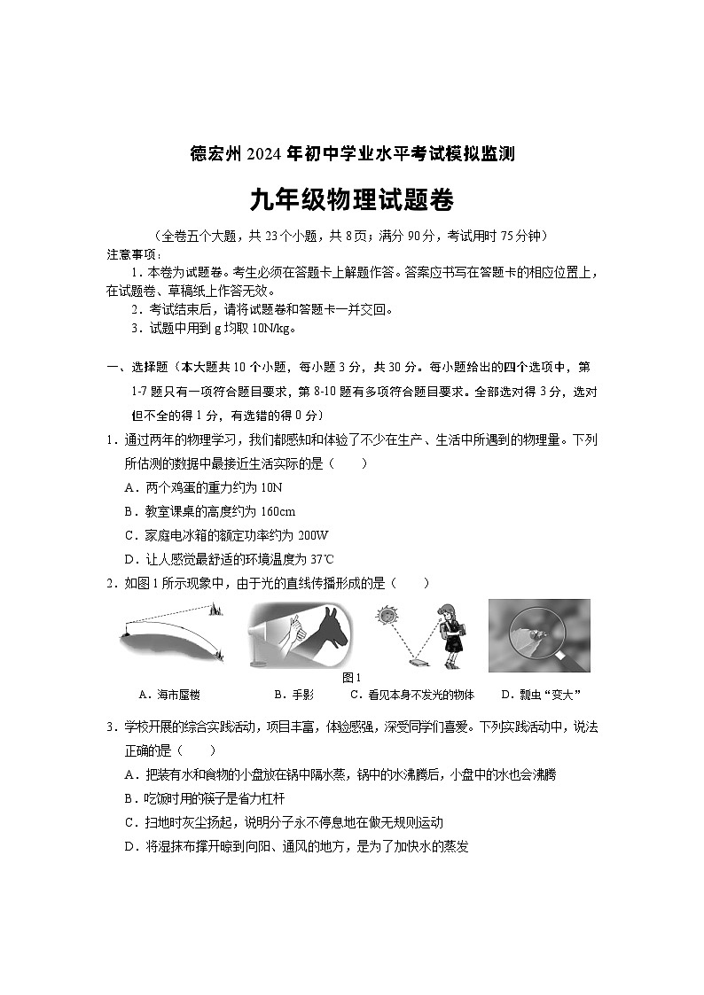 2024年云南省德宏州九年级初中学业水平考试模拟监测物理试题01