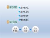 2024八年级物理下册第六章力和机械6.3重力课件（粤教沪版）