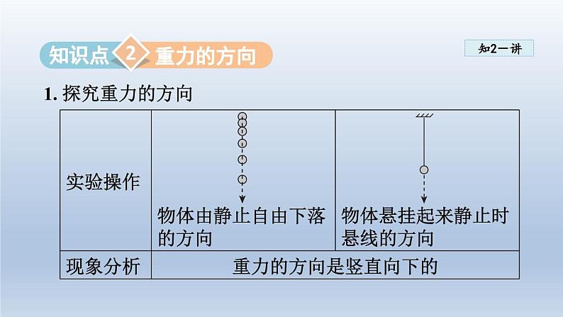 2024八年级物理下册第六章力和机械6.3重力课件（粤教沪版）第6页