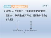 2024八年级物理下册第八章神奇的压强8.2研究液体的压强课件（粤教沪版）