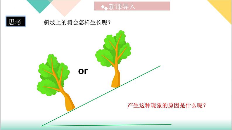 7.3 《重力》（同步课件）-2023-2024学年八年级物理下册同步精品课堂（人教版）第4页