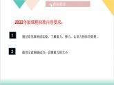 第7章  《力》（单元复习课件）-2023-2024学年八年级物理下册同步精品课堂（人教版）