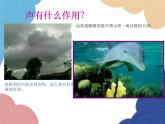 人教版物理八年级上册 第2章第3节 声的利用课件