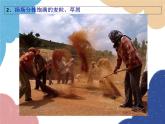 人教版物理八年级上册 第6章第4节 密度与社会生活课件