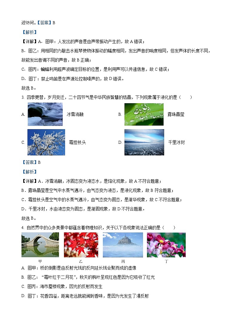 2024年山东省泰安市中考三模物理试题02