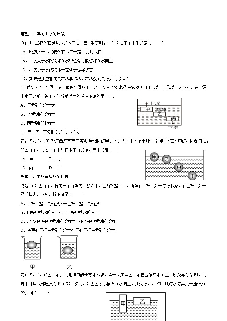 2024年中考物理专题复习：物体的浮沉条件及其应用第2页