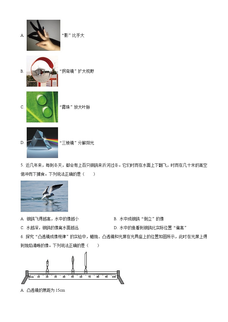 2024年山东省临沂市郯城县中考二模物理试题（原卷版+解析版）02