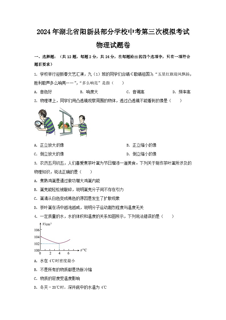 2024年湖北省阳新县部分学校中考第三次模拟考试物理试题卷01
