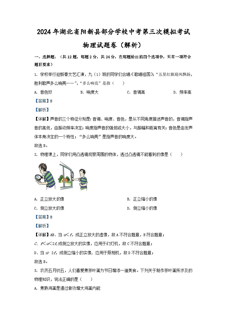 2024年湖北省阳新县部分学校中考第三次模拟考试物理试题卷01
